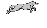 ultamiteleon_logo.gif